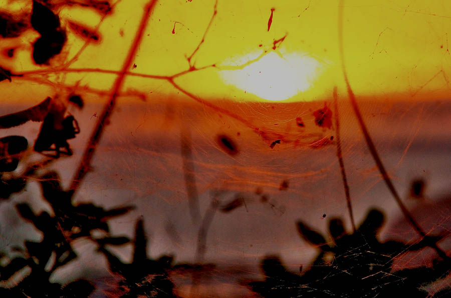 tacande_puesta_sol